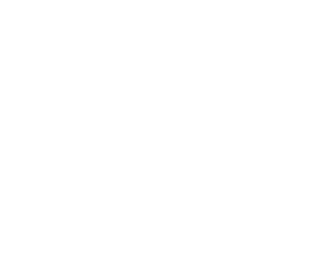 Banner-vorm-klein